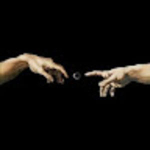 Meet your Posher, Allana